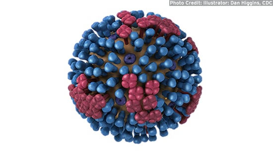 H1N1 Pandemic Flu
