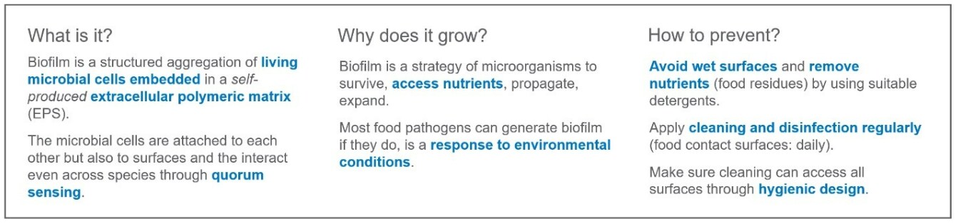 Text explaining the process of how a biofilm forms