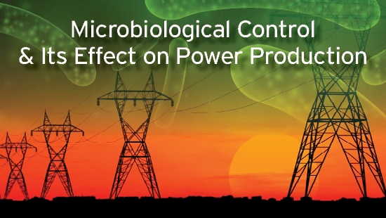 Powerlines and microscopic level image of microbials.