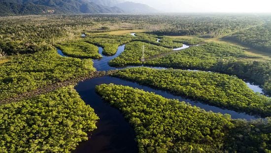 iStock-697292990_aerial_winding_forest_river_550x310.jpg